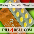 Kamagra Oral Jelly 100Mg Use 42